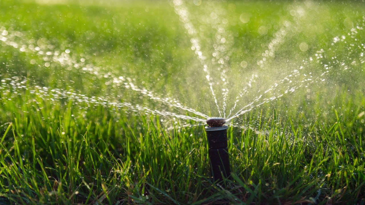 Water Irrigation Services in Abu Dhabi