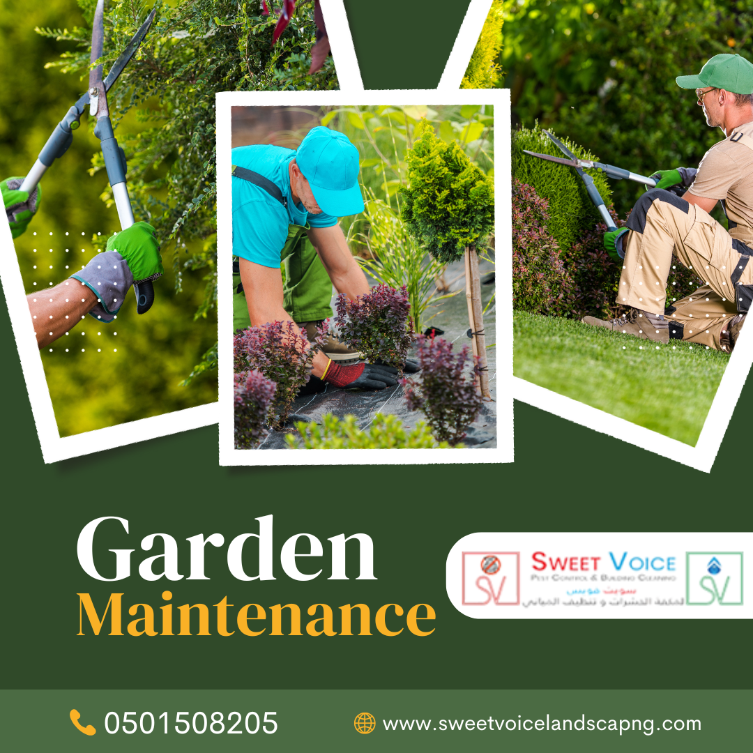 Ultimate Guide to Garden Maintenance Services in Abu Dhabi