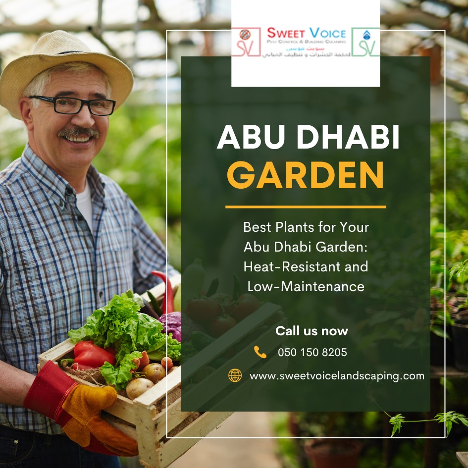 Best Plants for Your Abu Dhabi Garden